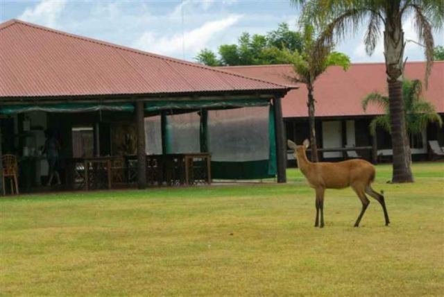 Aguapé Lodge - CheckinFans