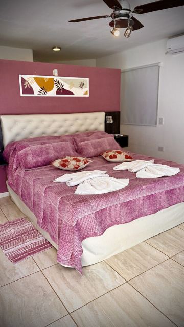 Suite 2 - CheckinFans