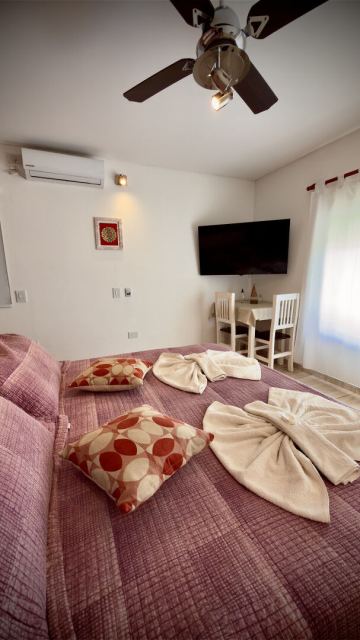 Suite 2 - CheckinFans