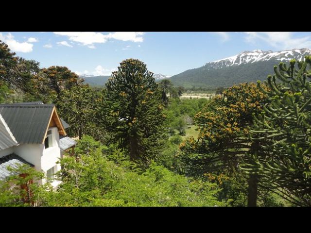Cabañas Altos de Moquehue - CheckinFans