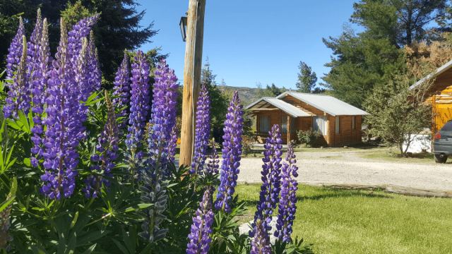 Cabañas La Cautiva - Villa Atelen