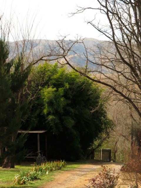 Casas de Campo La Tacuara - CheckinFans